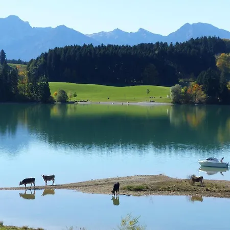 Allgäuer Stocker
