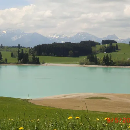 Allgäuer Stocker
