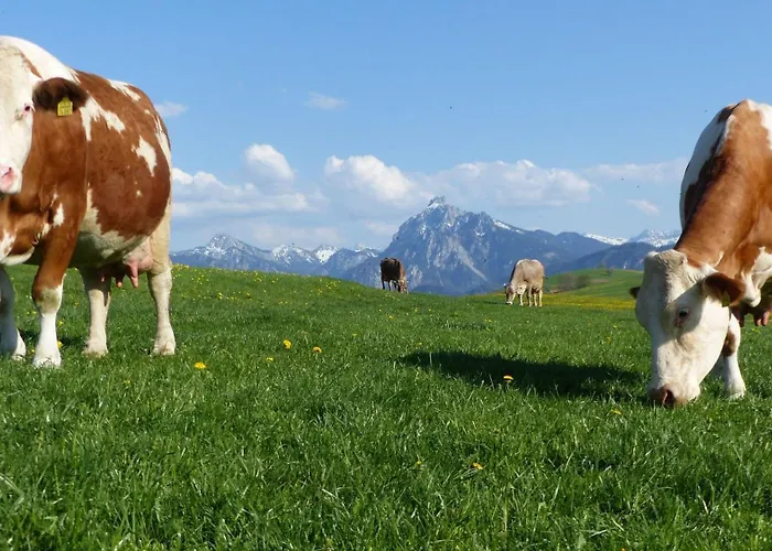 Allgaeuer-landhaus-stocker Apartamento Hopferau